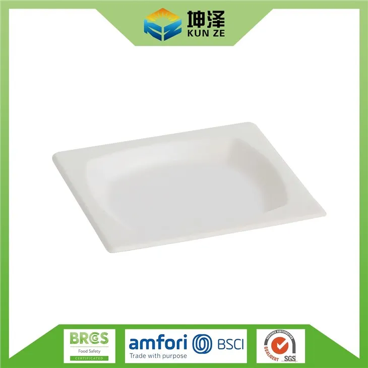 Bagass kvadrat plitalari