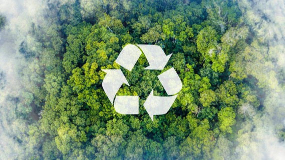 Carbon footprint Carbon footprint