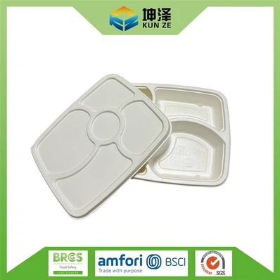 disposable-lunch-trays-with-lids38a3205e-e2b8-4890-be9a-1613ac7fccf5 disposable-lunch-trays-with-lids38a3205e-e2b8-4890-be9a-1613ac7fccf5