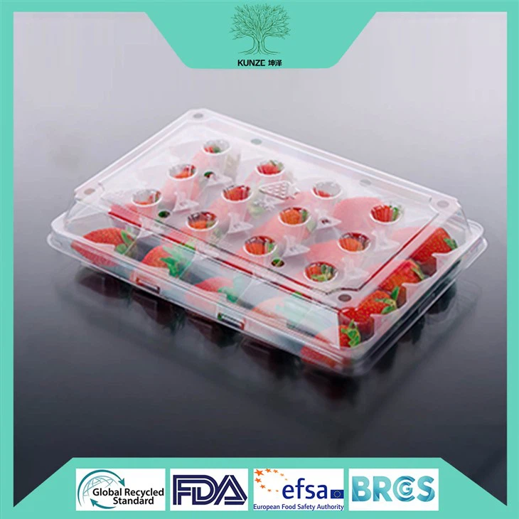 Pet Plastic Food Containers